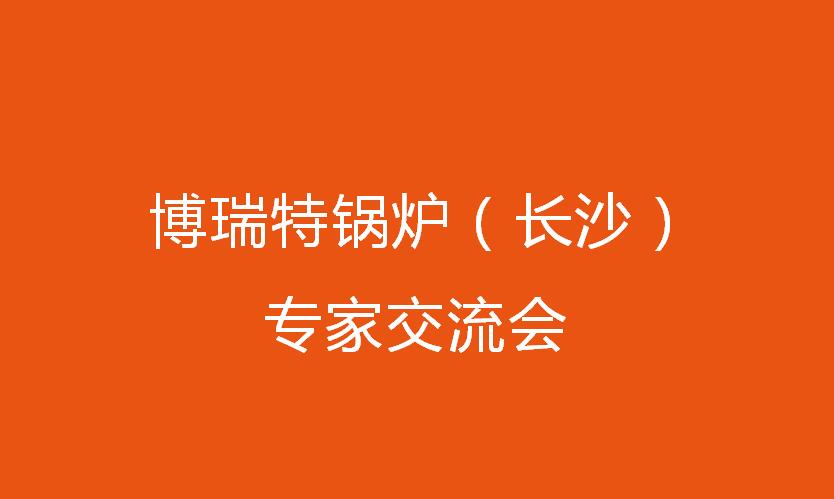 博瑞特鍋爐（長沙）專家交流會圓滿落幕！
